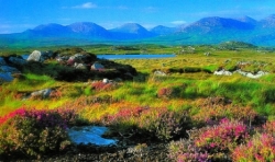 - West Ierland/Connemara